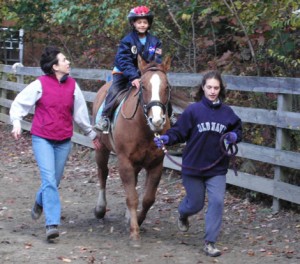 merhorsekid1